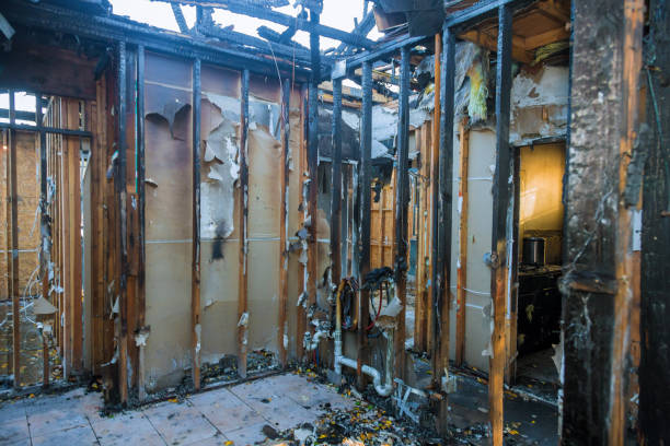 Professional Fire Damage Removal technician working in Morton, TX